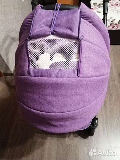 Коляска 2 в 1 adamex nitro