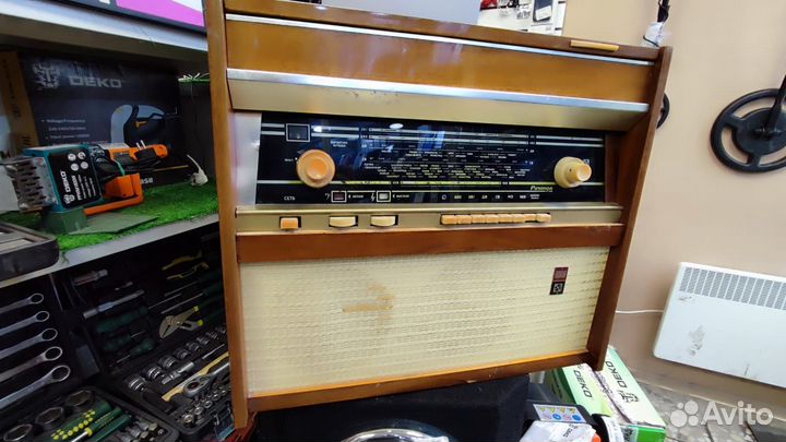 Radiotehnika rigonda