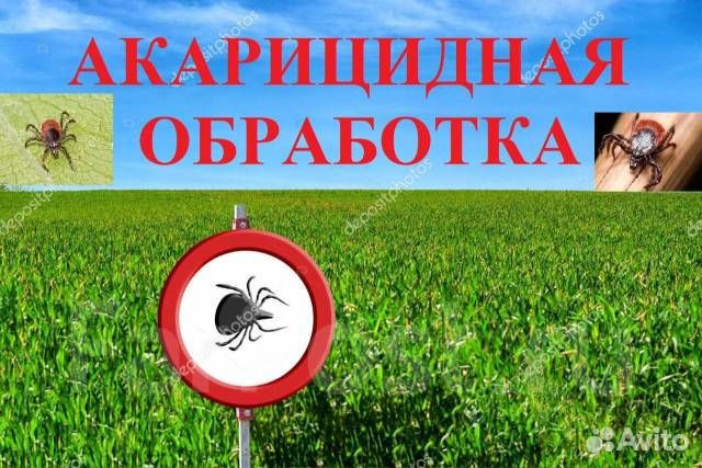 Обработка участка от клещей,комаров,мух(дезинсекци