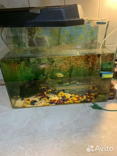 Аквариум