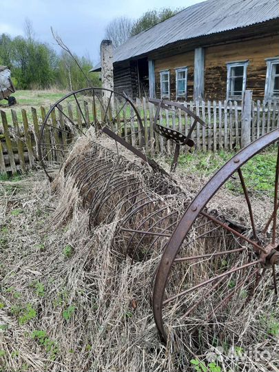 Конские грабли