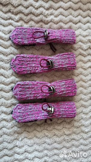 Одежда для собак