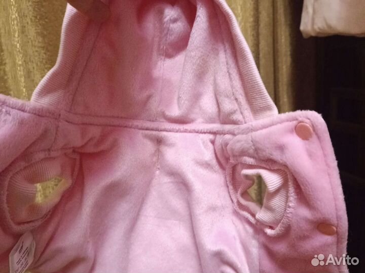 Той-терьер одежда