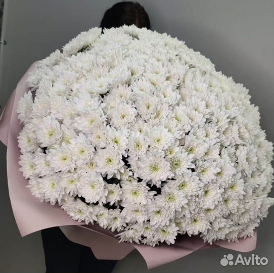 Большие букеты из хризантем Цветы Доставка