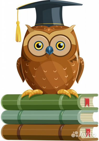 Помощь студентам, педагогам