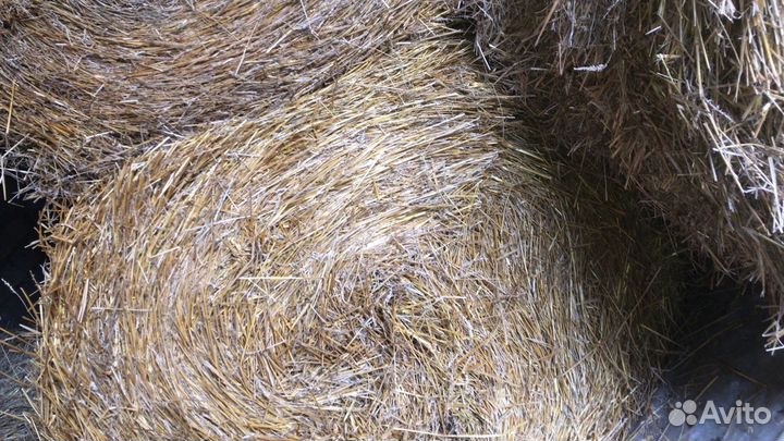 Сено с доставкой