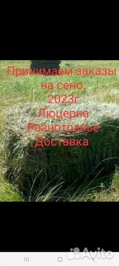 Сено разнотравье