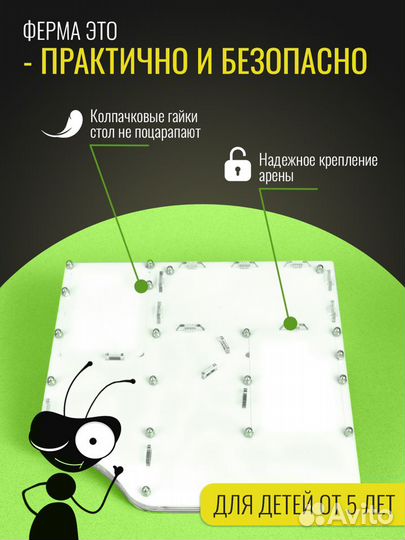 Муравьиная Ферма Макси - Зелёная Формикарий