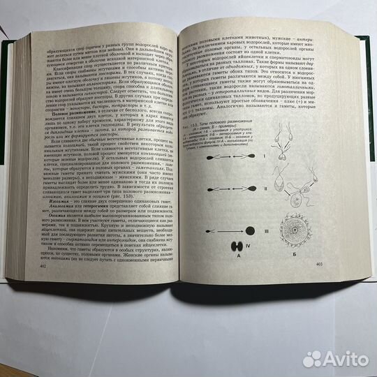 Биология для поступающих в вузы