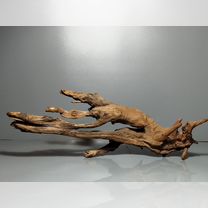 Мангровая коряга: 40*11*14 см. вк53, Зеленоград