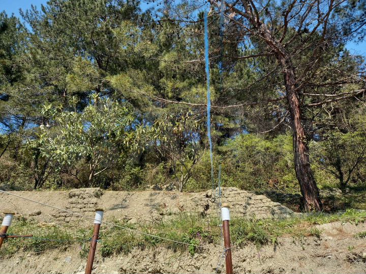 Участок 16 сот. (ИЖС)