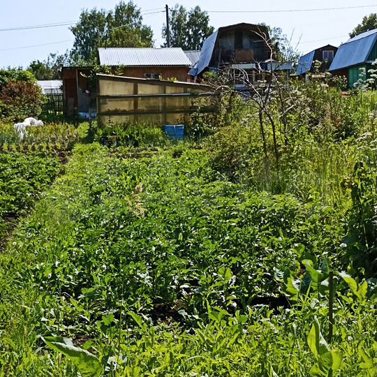 Дача 25 м² на участке 4,6 сот.