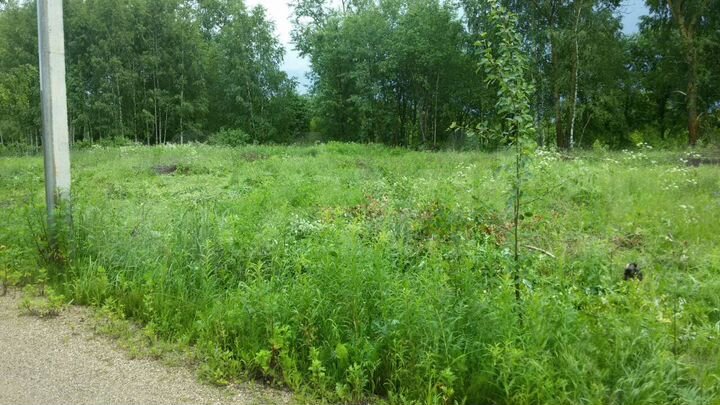 Участок 27 сот. (СНТ, ДНП)