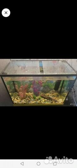 Аквариум 100л