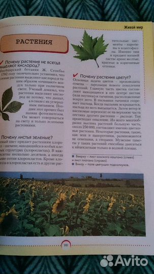 Энциклопедия для детей