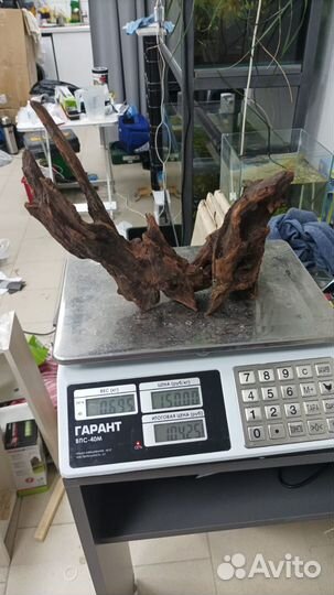 Коряги для аквариума (мангра)