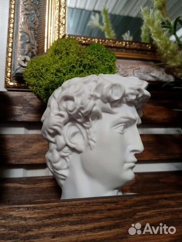 Стабилизированный мох, Апполон, скульптура