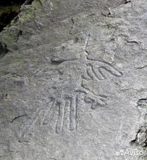 Тур из Уфы на хребет Яманкая + питомник, Башкирия