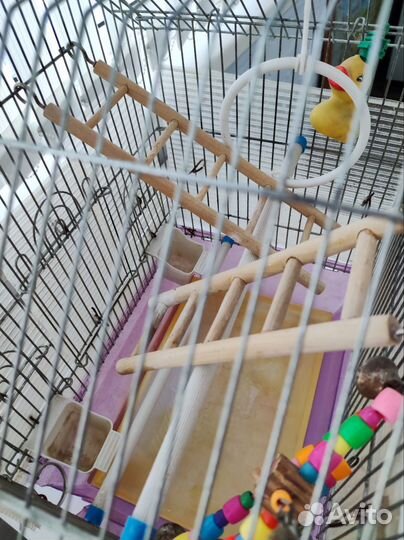 Клетка для волнистого попугая большая