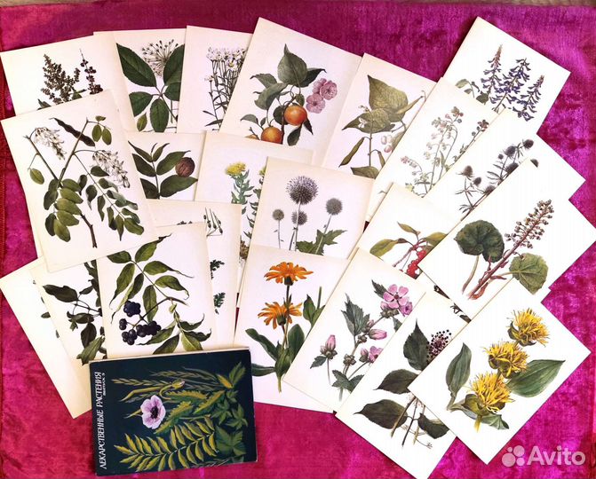 Книги о растениях, растеневодстве