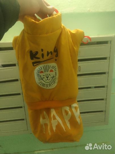 Комбинезон для маленькой собаки