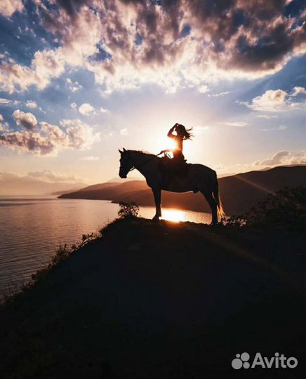 Конные прогулки