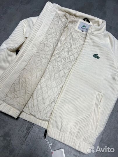 Мужская осенняя куртка Lacoste