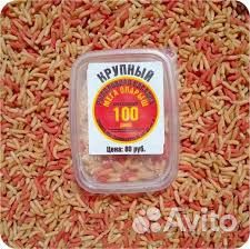 Лягушата, черви, опарыш