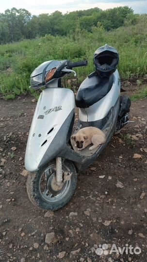 Honda dio 35