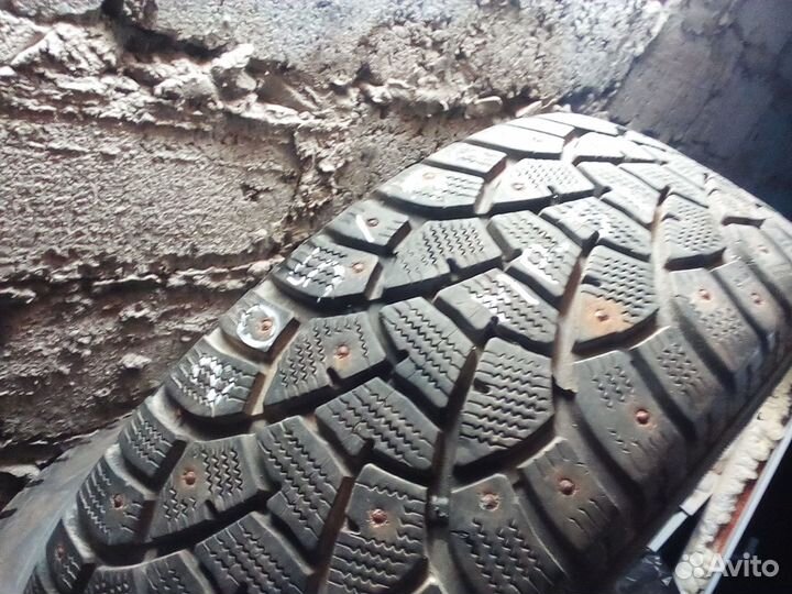 Matador MP 51 Sibir 2 205/55 R16