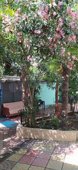 Комната 25 м² в 1-к., 1/3 эт.