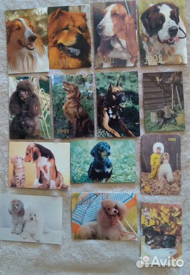 Открытки,календарики собаки СССР