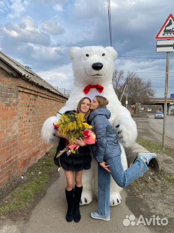 Поздравление от белого мишки