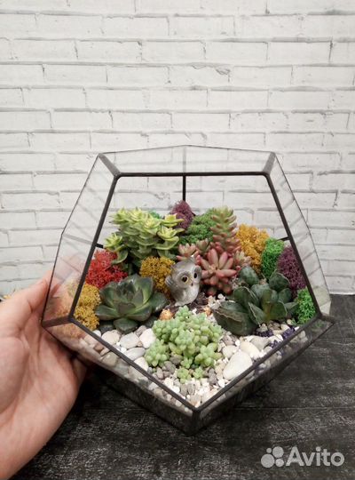 Подарки, флорариум