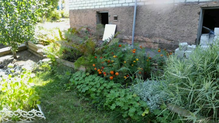 Участок 4 сот. (СНТ, ДНП)