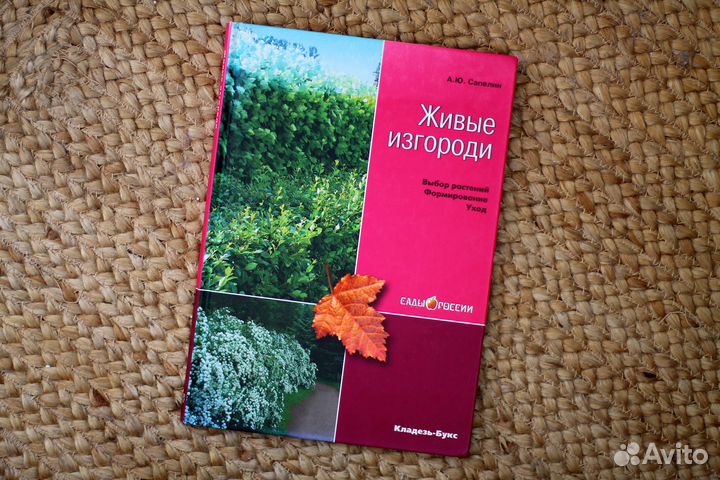 Сапелин. Живые изгороди