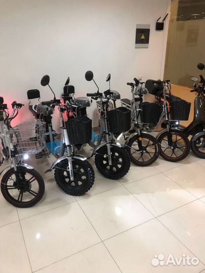 Аренда или выкуп электровелосипедов монстр
