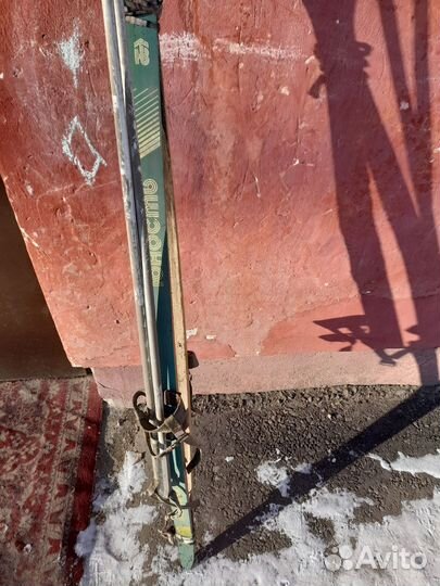 Беговые лыжи