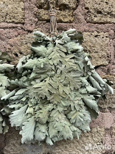 Дубовые веники для бани