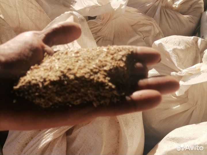 Размол ячмянь