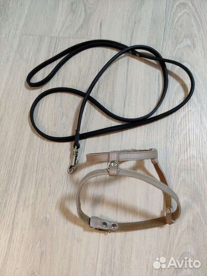 Продажа поводок для маленьких собачек