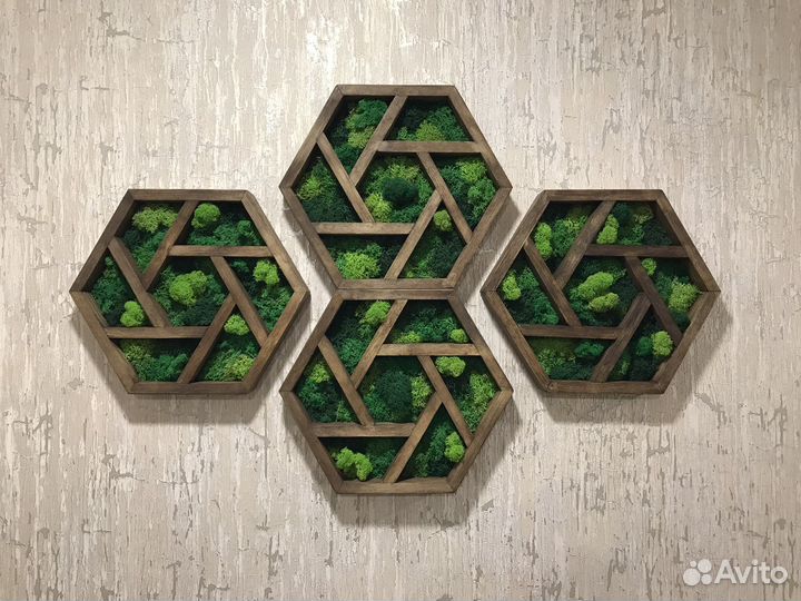 Стабилизированный мох