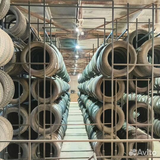 Vredestein Wintrac Pro 205/50 R17 93L