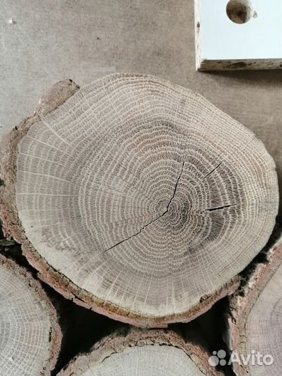 Для творчества - заготовки круглые из дерева