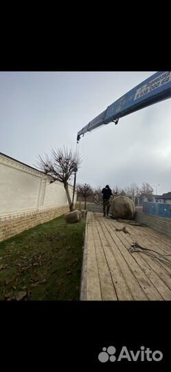 Манипулятор