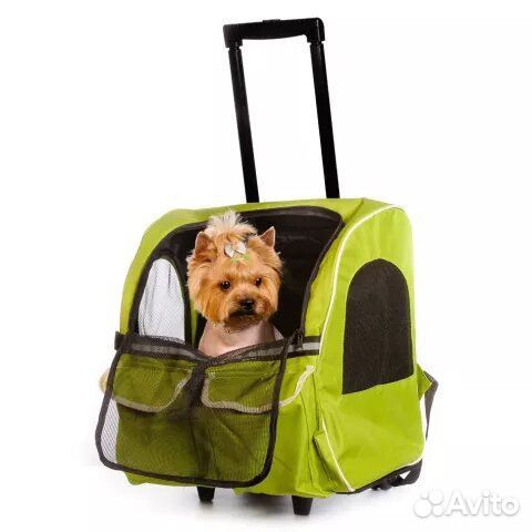 Рюкзак на колёсах для животных