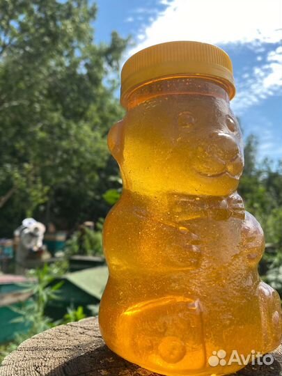 Натуральный мед 2023 с семейной пасеки