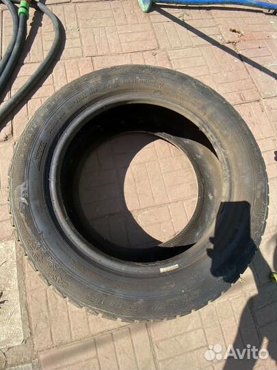Gislaved Frost 205/55 R16