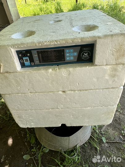 Инкубатор для яиц автоматический