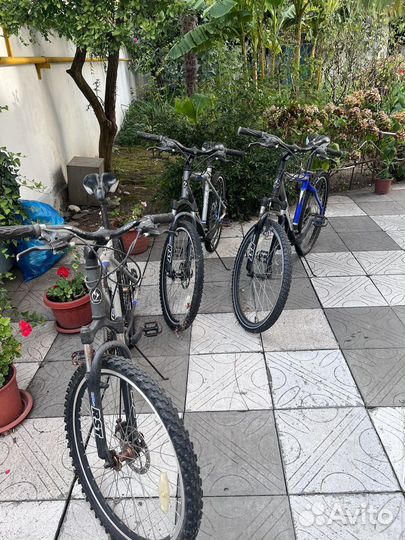 Велосипеды стелс